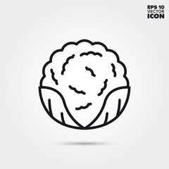 Cauliflower cabbage vegetable vector line icon