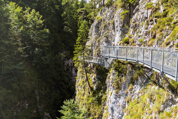 gangway by throat crossing green valleys on river