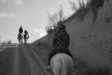 Caballo blanco y negro
