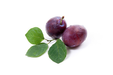 Group of ripe plums with leaf isolated on a white background.