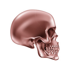 Metallic Skull