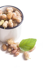 White cup with white mulberry fruit and leaf isolated on white.