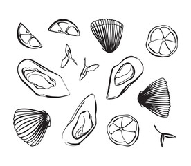 Hand drawn vector illustration of clam as seafood. Shellfish with lemon and herbs. Black isolated on white background