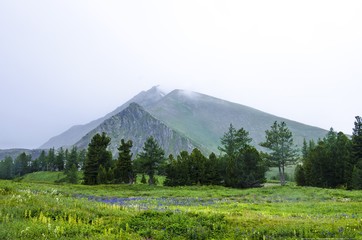 Altai territory