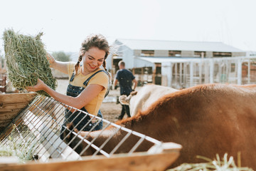 Farmer taking care of animals