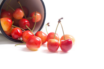 Yellow sweet cherry in white cup isolate on white.