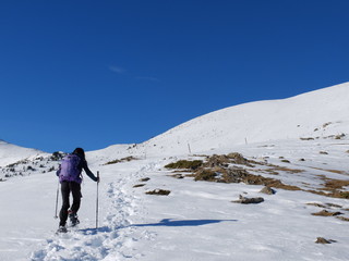 Fototapeta na wymiar jeune femme en randonnée en montagne en hiver en raquette