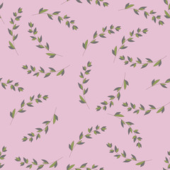 Seamless pattern of Eucalyptus palm fern different tree, foliage natural branches, green leaves, herbs, tropical plant hand drawn Vector fresh beauty rustic eco friendly background on white