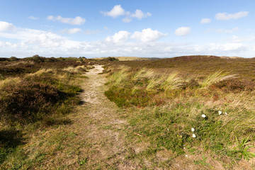 Sandweg in den D&uuml;nen