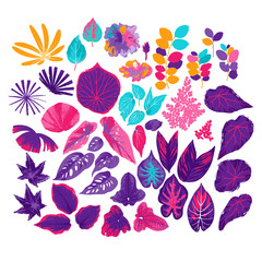 Vector collection of different exotic leaves drawn in the technique of rough brush