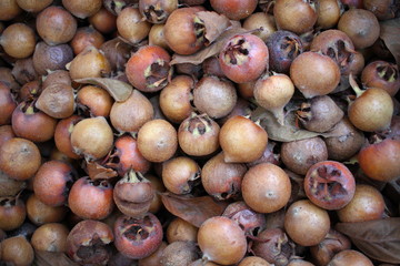 Common medlar (Mespilus germanica), medlars pattern. Medlar fruits