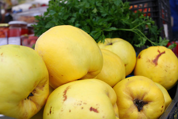 Fresh Quince fruits. Quince pattern