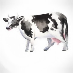 beautiful cow illustration