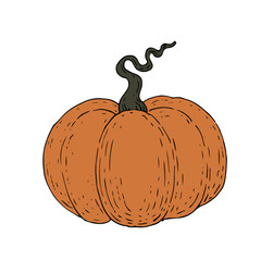 orange vintage pumpkin