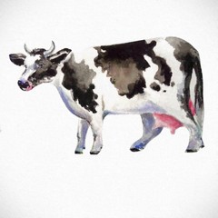 beautiful cow illustration