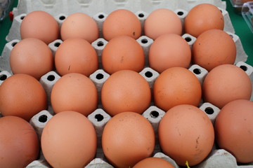 Eggs for Easter. Fresh organic eggs on a farmers market. Chicken egg. organic food.  cholesterol