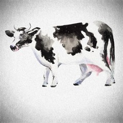 beautiful cow illustration