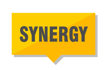synergy price tag
