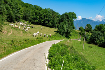 Road to Colle Fauniera, Piedmont