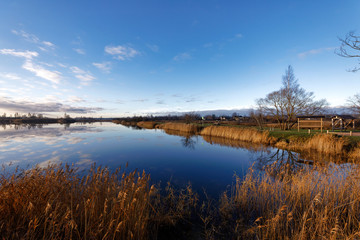 Sunny morning by the river