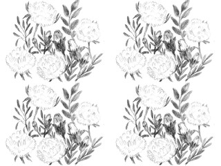 Flowers on off-white background, Hand drawn pattern, for Spring Summer, good for Digital Print watercolor