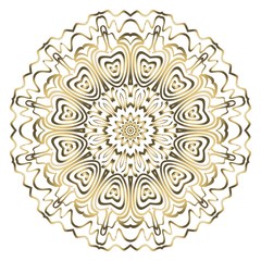 Modern Decorative Cicle Shapes. Floral mandala. vector illustration