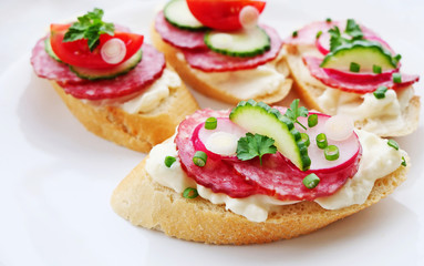 Tasty appetizers with cream cheese, salami, red radish, cucumbers and tomatoes over white background.