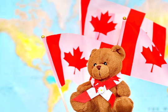 Teddy bear against the background of the Canada flags. Сoncept of Canada Day or national day of Canada. Celebrated on July 1.
