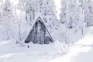 Small wooden old gray house toilet covered with snow against background of winter forest and trees