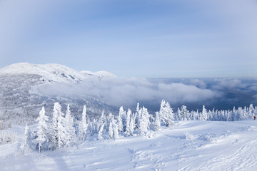 Fototapeta premium Panoramic scenic view from top of mountain landscapes winter valley, snow-capped peaks of mountains and trees, hills, fog, clouds. Concept Swiss Alps, Krasnaya Polyana, Sochi, Sheregesh, Austria