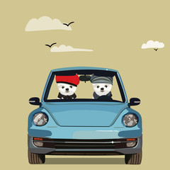 Spitz Pomeranian dog animal engraving vector illustration. Scratch board style imitation. Black and white hand drawn image.