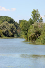 Fototapeta premium Esplorare il fiume