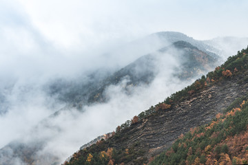 misty landscape at foggy mountains