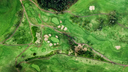 Fototapeten Grün Drohnen-Draufsicht des grünen Grasgolfplatzes  © cicerocastro