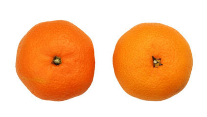 Set of orange tangerines