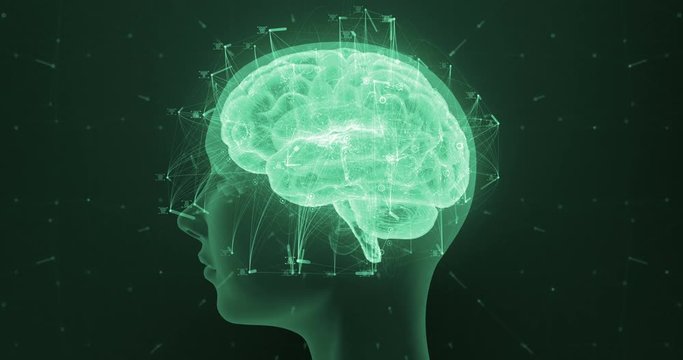 3D seamless loop render of a holographic digital style human brain conveying the idea of artificial intelligence, bio hacking and the fusion of nature and technology