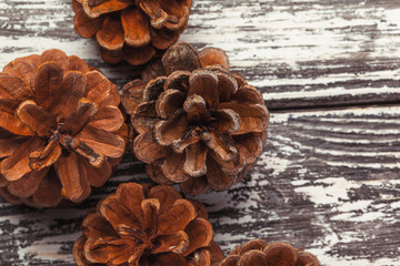Pine cone on wooden table