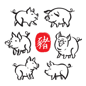 Chinese New Year hand drawn symbols - Pig. Vector set of zodiac symbol of the year - pig and brush calligraphy hieroglyph denoting pig.