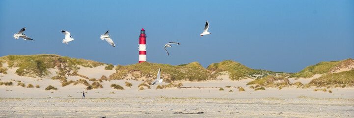 Leuchtturm mit Möwen auf Insel Amrum