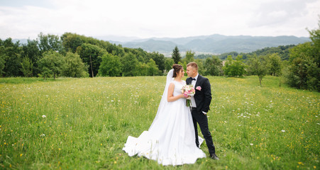 Newlyweds are walking in the park on the wedding day. The bride and groom Enjoying at the wedding day