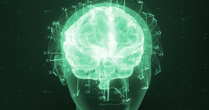 3D zoom render of a holographic digital style human brain conveying the idea of artificial intelligence, bio hacking and the fusion of nature and technology
