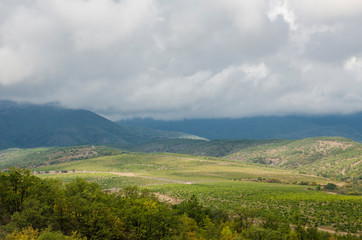 Fototapeta na wymiar natural background vineyard in the mountains