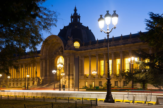 Night view of Petit Palais (Small Palace)