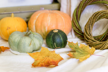 Autumn composition with dry leaves and ripe pumpkins