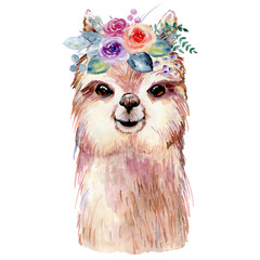 lama watercolor illustration © Tapilipa