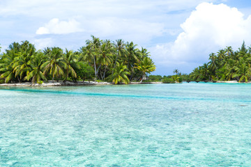 Fototapeta na wymiar travel, tourism and nature concept - bridge on tropical beach in french polynesia