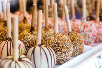 Apples covered with chocolate and various glazes for sale in a shop window.
