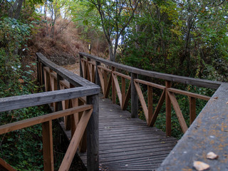 A path with wooden handrails in the forest in autumn