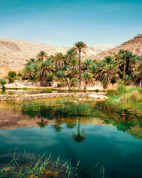 Oasis in the desert
