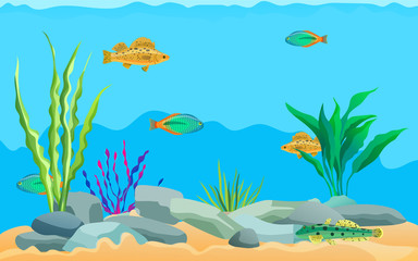 Fototapeta na wymiar Multicolored Sea Animals, Water Plants and Stones